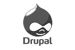 drupal-logo-doergroup.com